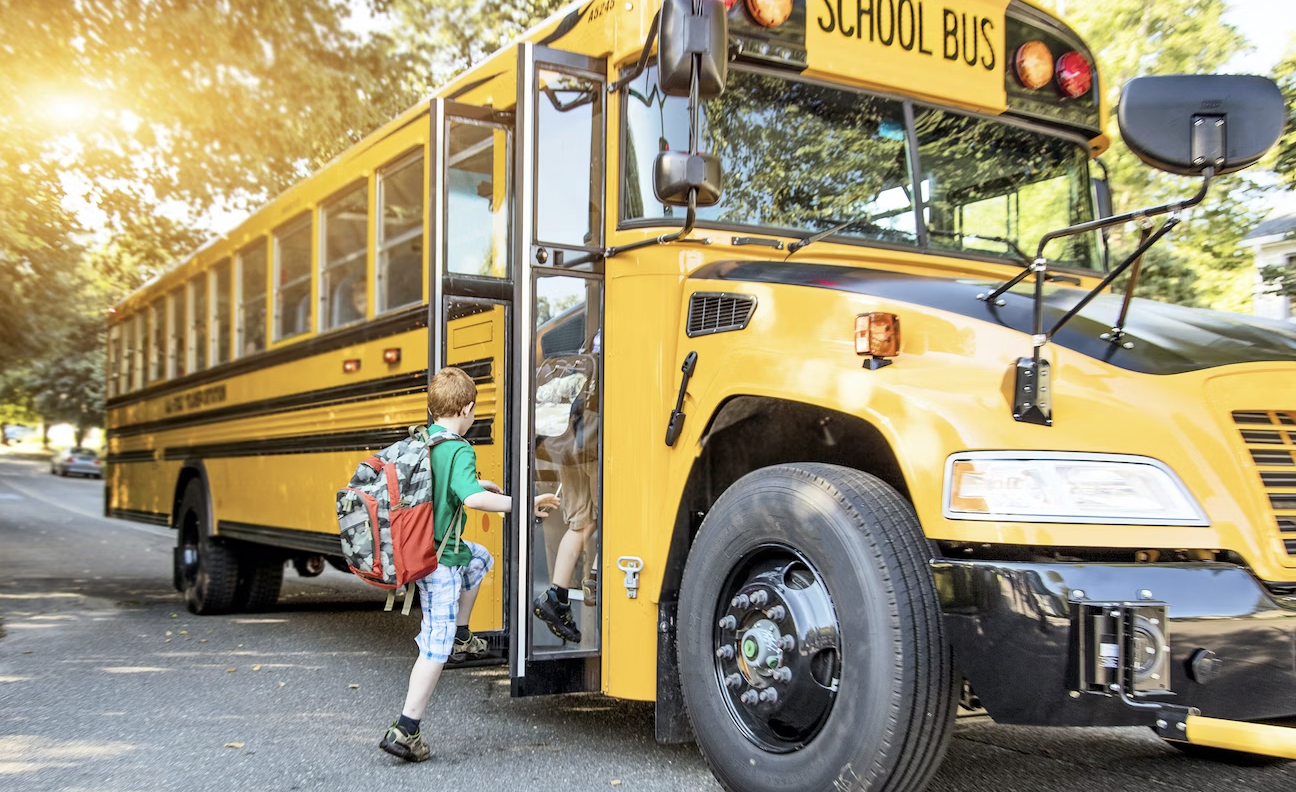 Schools Schools